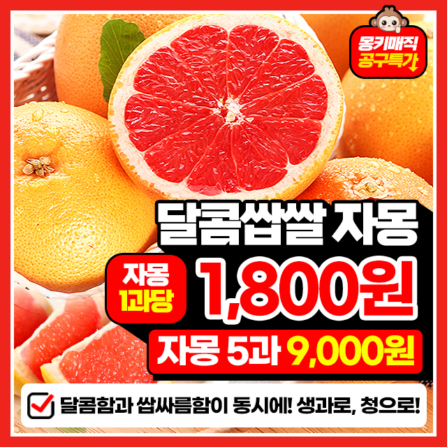 새콤달콤 과즙가득 고당도 레드자몽 5과~ 
