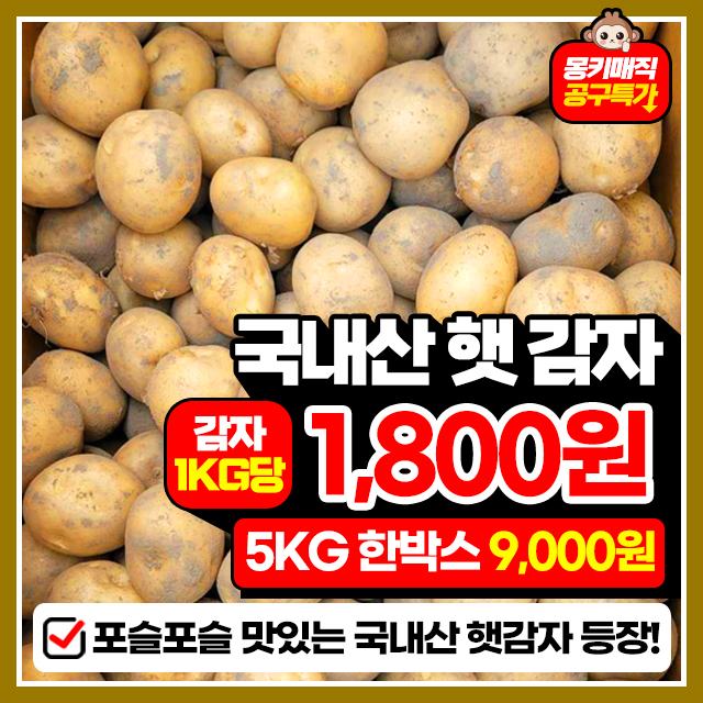 햇감자!! 포슬포슬 국내산 햇 감자 5KG