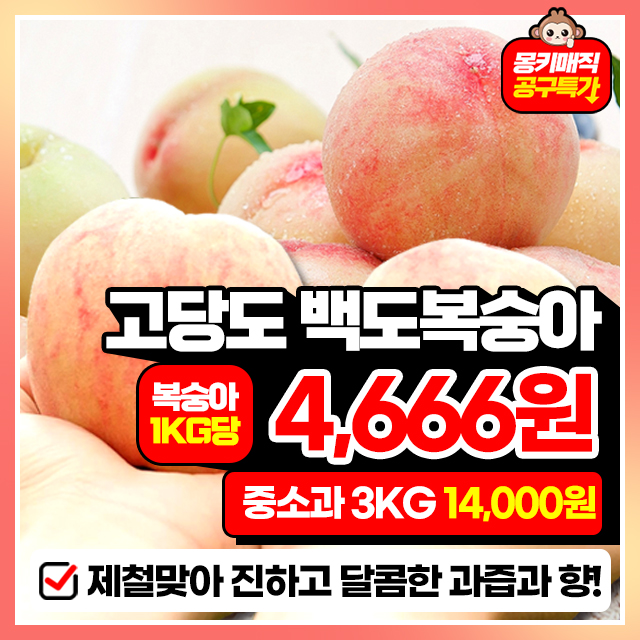 25년 첫출하! 복숭아의 계절! 제철 백도 복숭아 3KG
