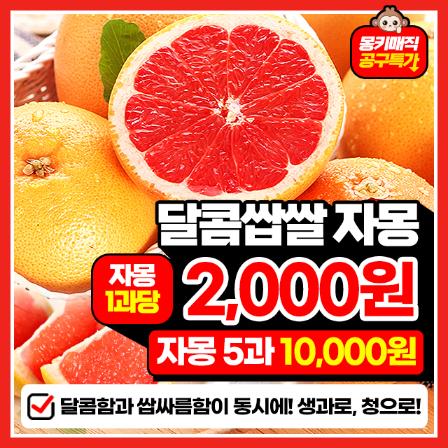 새콤달콤 과즙가득 고당도 레드자몽 5과~ 