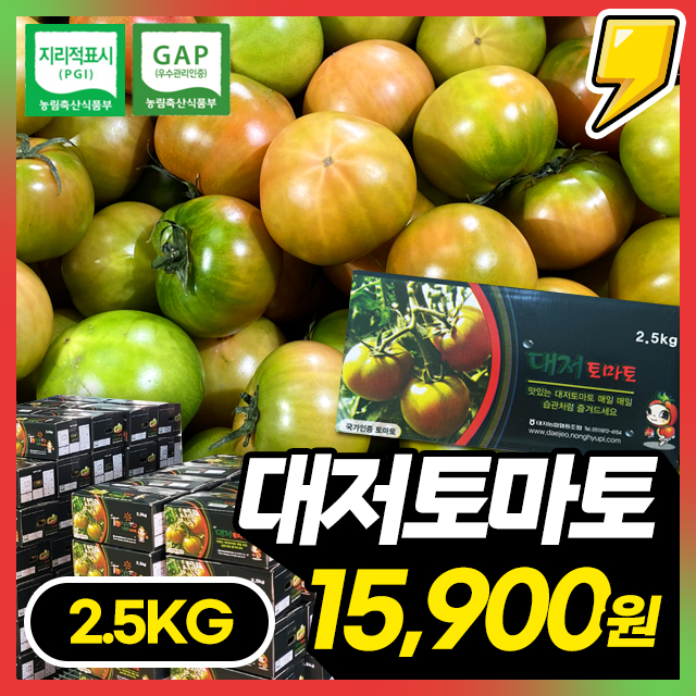 ★첫출하★ 단짠단짠! 부산 대저토마토 2.5kg 한박스 초특가