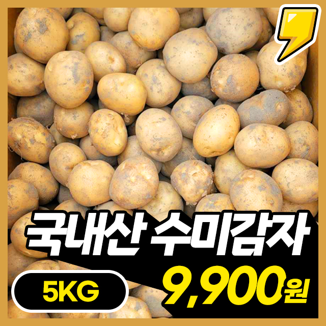 [100% 국내산] 포슬포슬 맛있는 수미감자 5KG 한박스!
