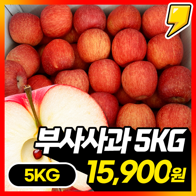 ★500박스한정★ 아삭달콤! 사과의 여왕 부사사과 5KG 초특가