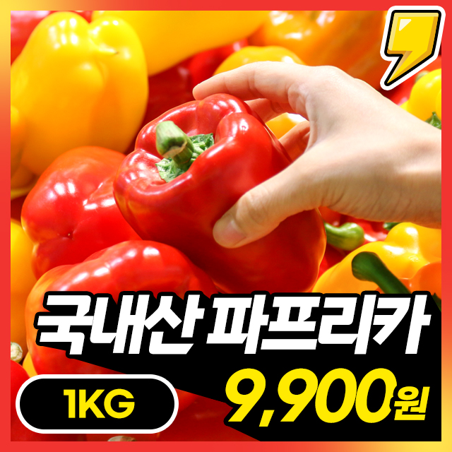 [파프리카] 아삭아삭 싱싱한 국내산 가정용 파프리카 1KG