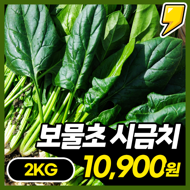 남해 해풍맞고 자란 남해 보물섬 시금치 2KG