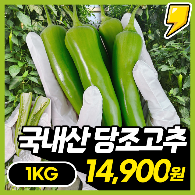 혈당조절 아삭이 당고추 당조고추 1kg~