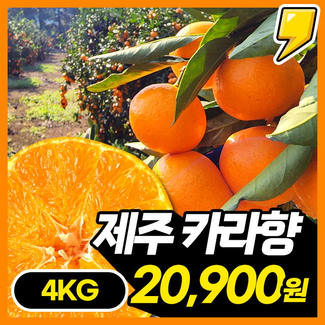 상큼달콤! 제주 고당도 제철 카라향 4KG