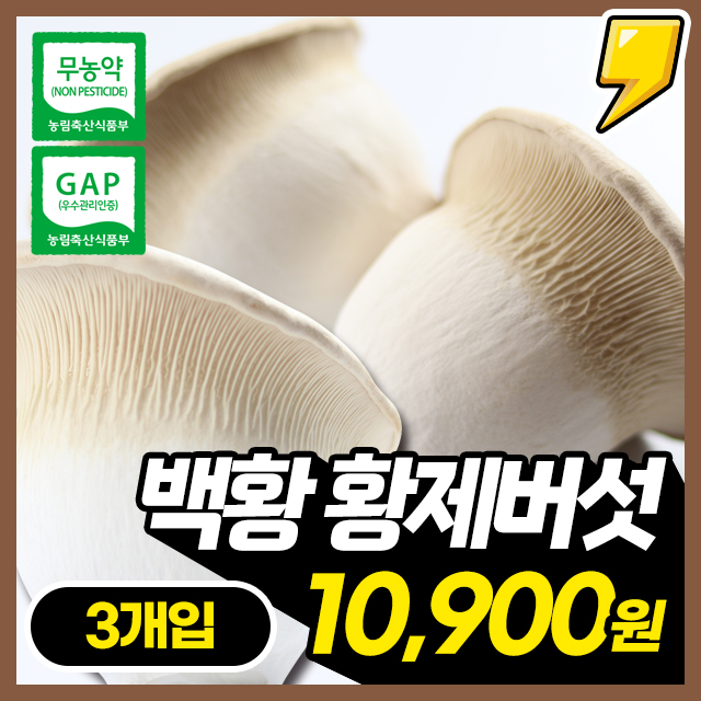 쫄깃담백! 무농약 귀한 황제버섯 3개입 (개당 200g)