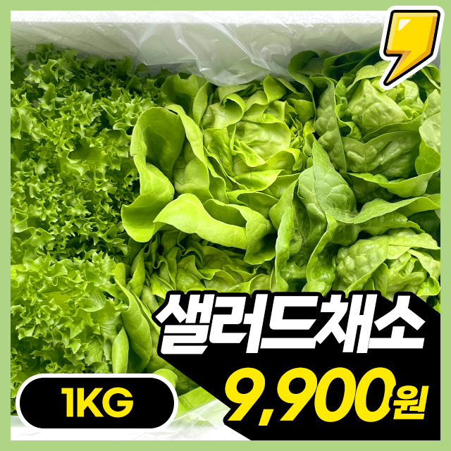 ★한정판매★ GAP 인증완료! 친환경 무농약 샐러드 채소(4종혼합) 대용량 1KG 초특가