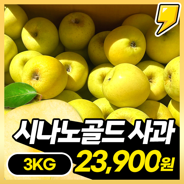 ★선착순500박스★ 황금사과 시나노골드 무려 3KG 한박스 초특가
