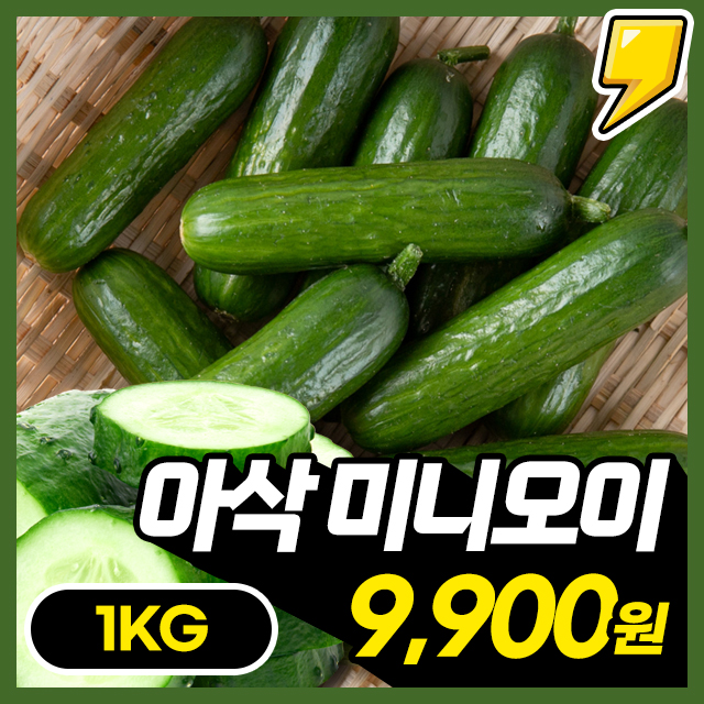 [미니오이] 앙증맞은 크기에 영양가득 아삭한 미니오이 1kg~