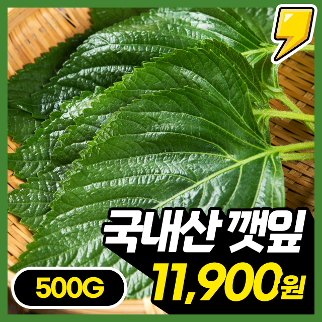 산지직송! 향긋한 고품질 밀양 깻잎 500g~