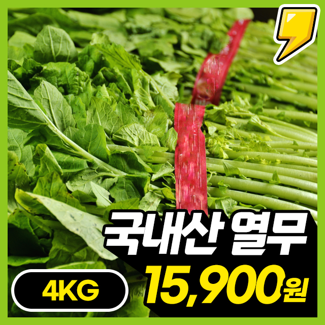 아삭시원! 국내산 김해 생 열무 4KG