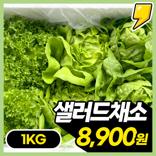 ★한정판매★ GAP 인증완료! 샐러드 채소(4종혼합) 대용량 1KG 초특가
