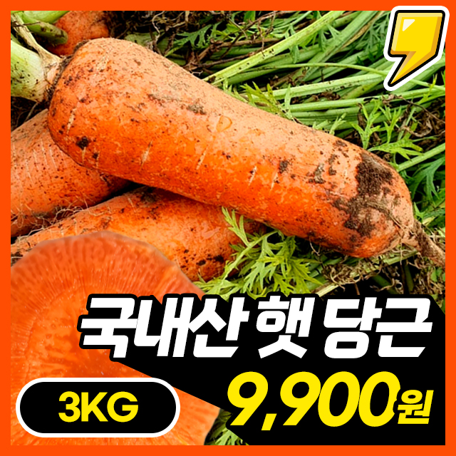 품질보장! 아삭달큰 맛있는 국내산 햇 당근 3KG/5KG