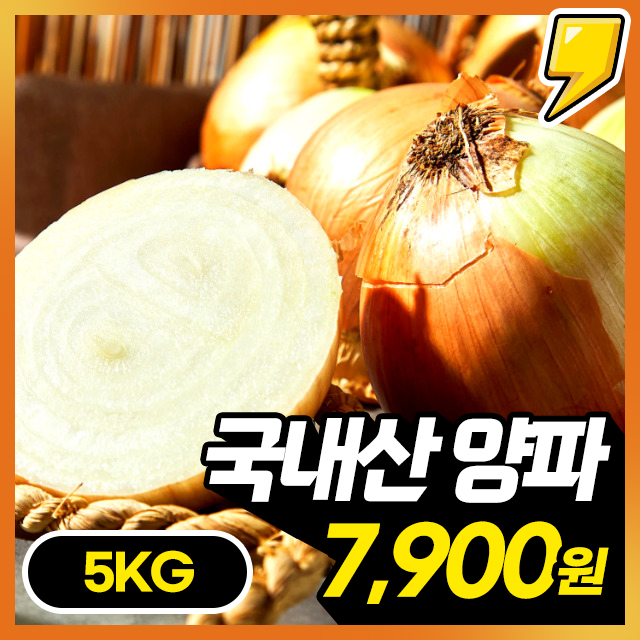 [25년 햇양파] 아삭달큰 속이 알찬! 신선한 국내산 햇 양파 5KG/10KG