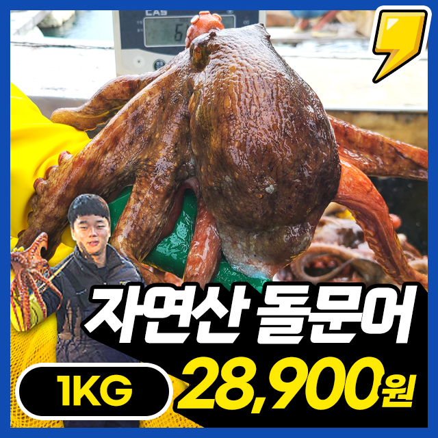 [돌문어] 통영 앞바다 당일 조업한 자연산 돌문어 1KG 