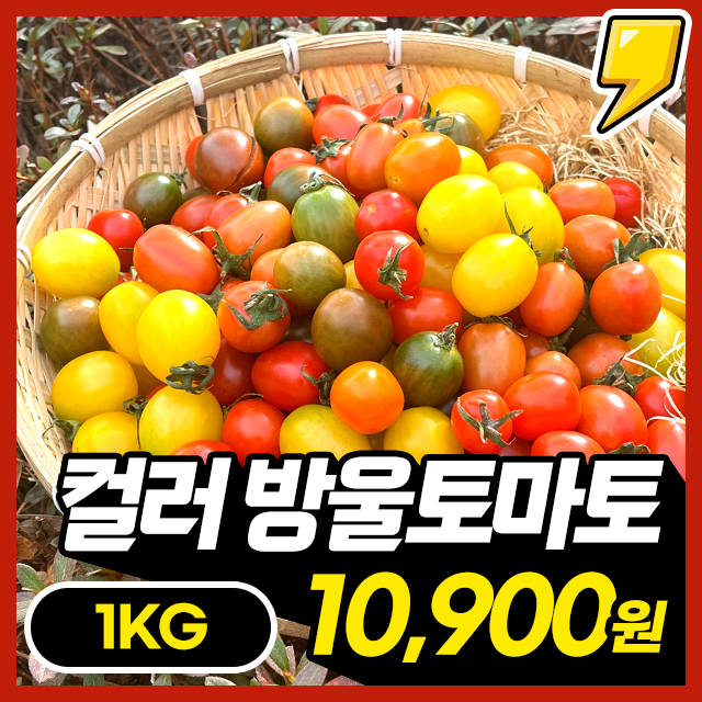 맛도 영양도 다양한! 꽉찬 과육 알록달록 컬러 방울토마토 1kg~