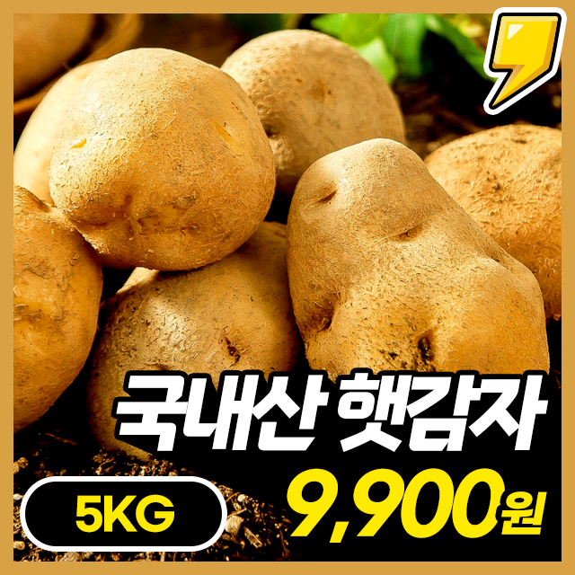 [100% 국내산] 포슬포슬 맛있는 국내산 햇 감자 5KG/10KG