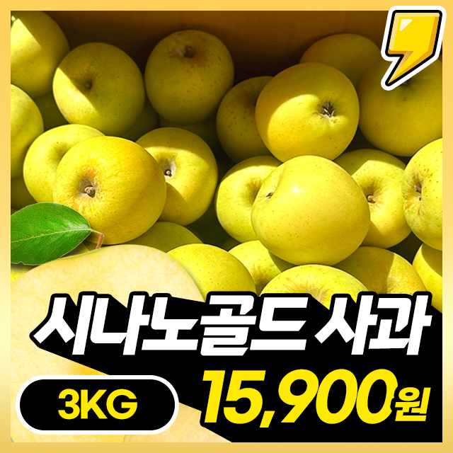 ★선착순500박스★ 황금사과 시나노골드 무려 3KG 한박스 초특가