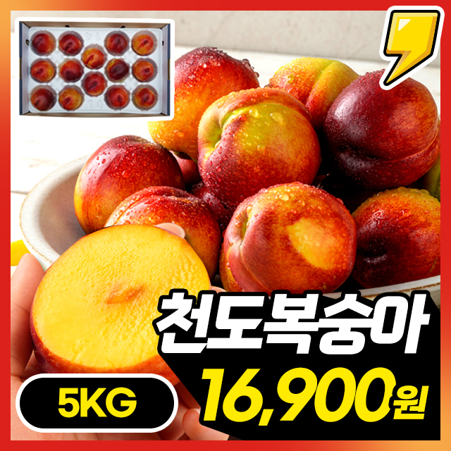 [25년 제철] 황금과즙 폭발! 천도 복숭아 5KG 한박스 초특가