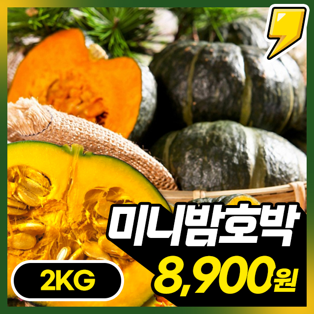 청정 제주 해풍맞은! 제철 보우짱 미니 밤호박 2KG~