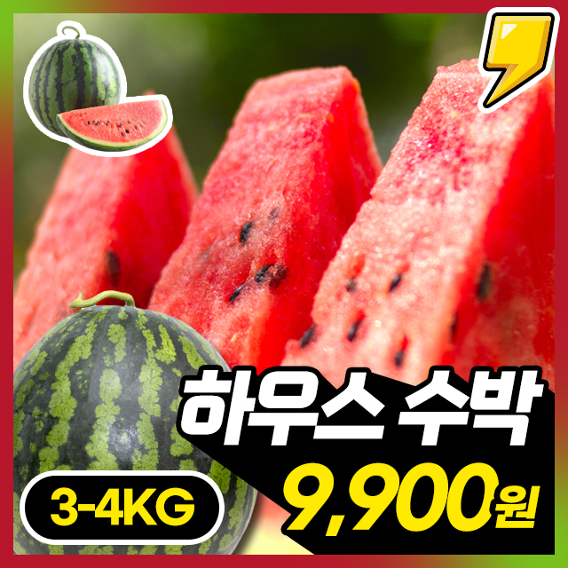 25년 제철! 시원아삭 꿀당도 하우스 수박 (3~4kg)