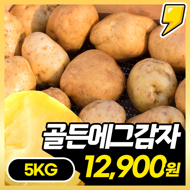 [NEW 신품종!] 황금빛 진한 부드러움 골든에그 감자 5kg~