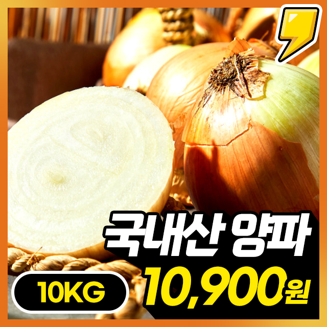[25년 햇양파] 아삭달큰 속이 알찬! 신선한 국내산 햇 양파 10KG