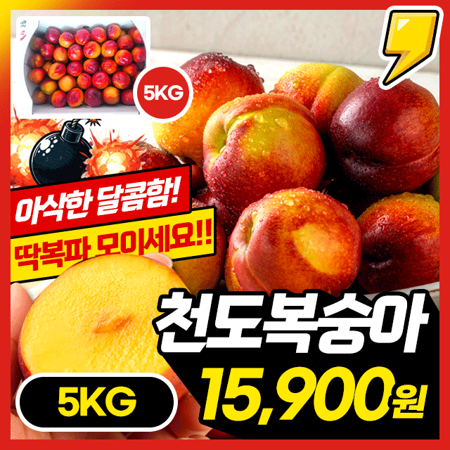 [25년 제철] 황금과즙 폭발! 천도 복숭아 5KG 한박스 초특가