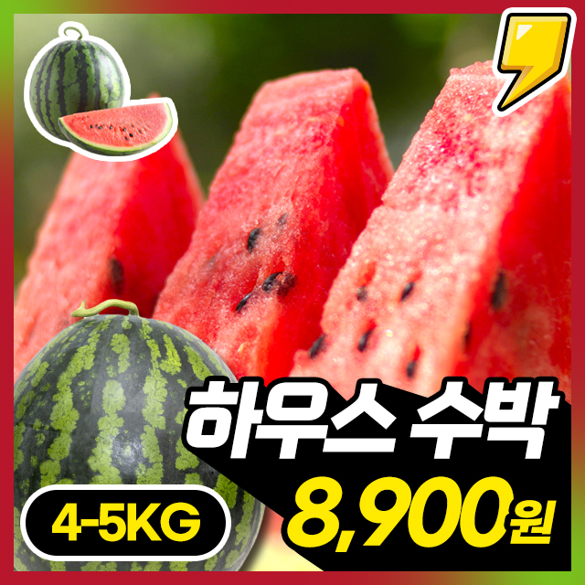 25년 제철! 시원아삭 꿀당도 하우스 수박 (4~5kg)