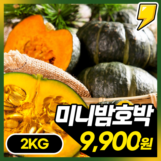 청정 제주 해풍맞은! 제철 보우짱 미니 밤호박 2KG~