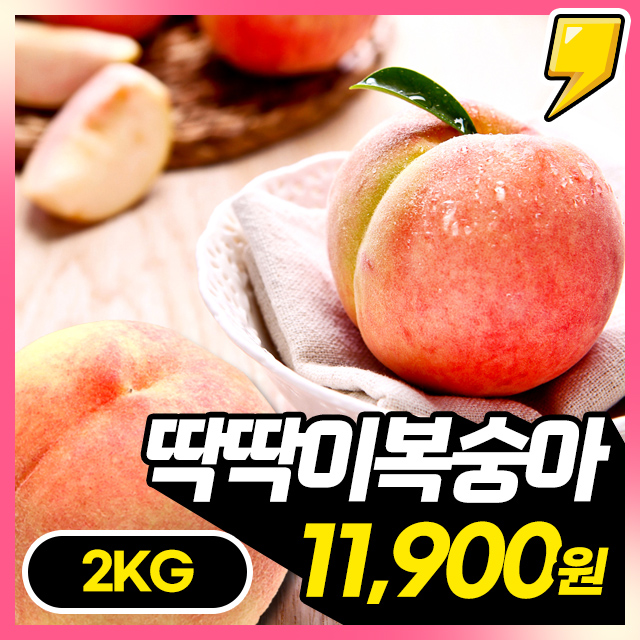 복숭아계의 정석! 아삭달콤 딱딱이 복숭아 2KG/4KG
