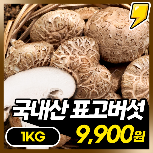 쫄깃통통 무안 생 표고버섯 1KG