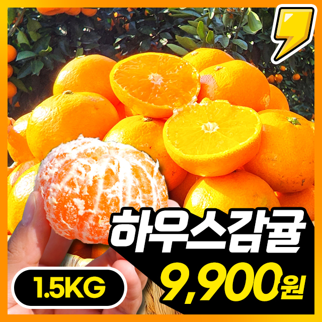 [25년 첫출하] 새콤달콤 청정 제주를 담은 하우스감귤 1.5KG 한박스
