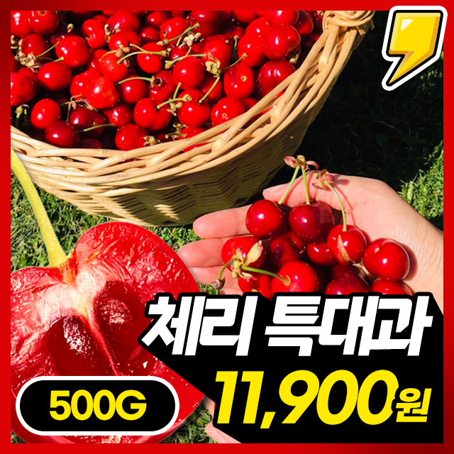 프리미엄 고당도 미국산 생 체리 500g (9.5R/특대과)