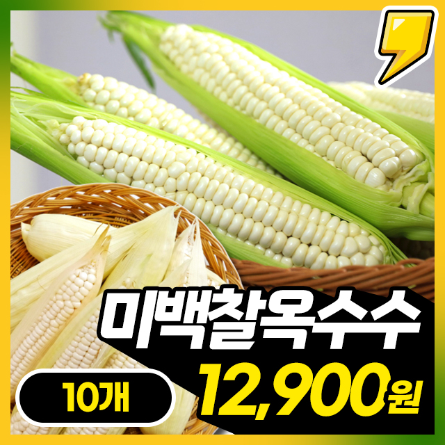25년제철! 쫀득쫀득 강원도 미백 찰옥수수 (10개입/20개입)