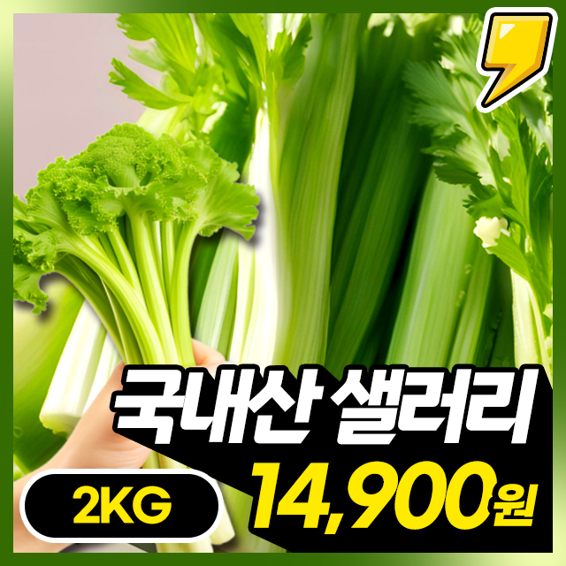 향긋아삭! 식감이 살아있는 달큰한 국내산 샐러리 2KG/3KG