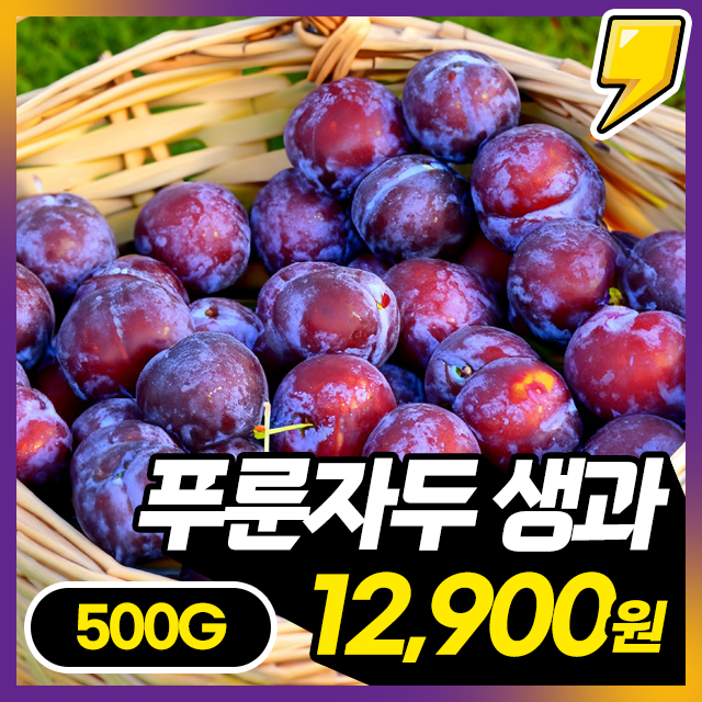 [희귀품종] 상큼달콤! 국내산 푸른빛 생푸룬 푸룬자두 500G 한정판매