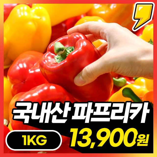 [파프리카] 아삭아삭 싱싱한 국내산 가정용 파프리카 1KG