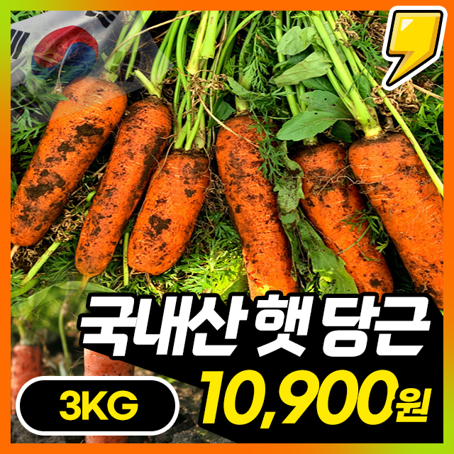 품질보장! 아삭달큰 맛있는 국내산 햇 당근 3KG/5KG