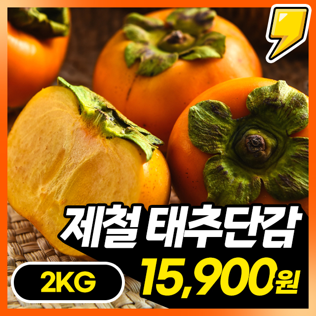 [25년 첫출하!] 배처럼 과즙이 풍부한 단감의 왕! 기을단감 태추단감 2KG