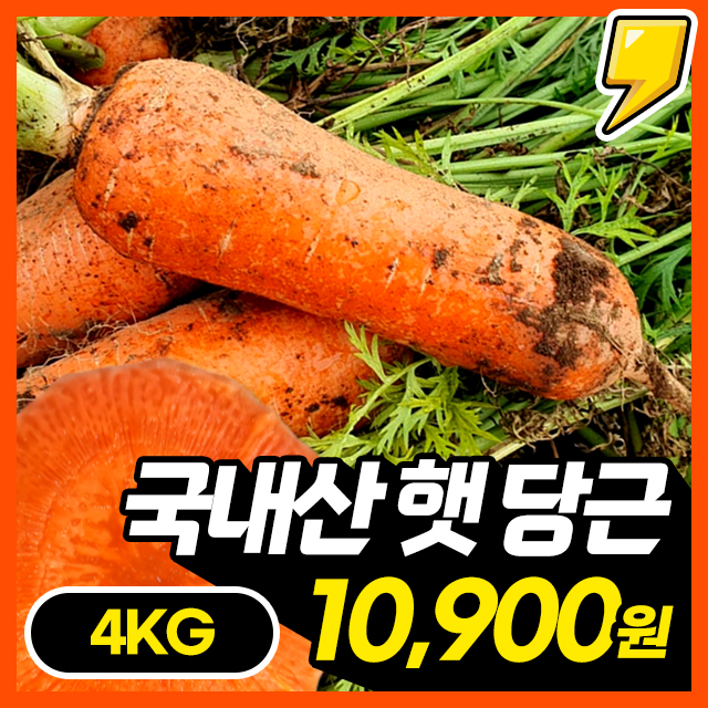 품질보장! 아삭달큰 맛있는 국내산 햇 당근 4KG/5KG