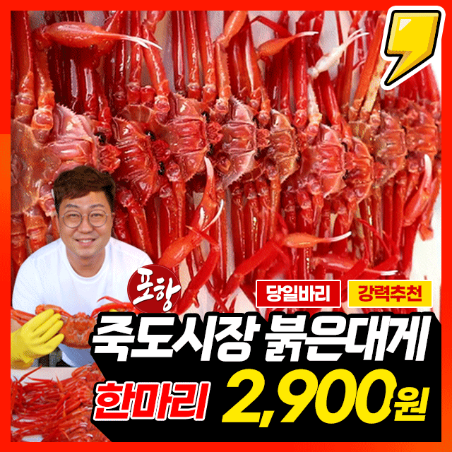 ★특판행사★ 포항 죽도시장 당일바리 붉은대게 1마리 = 2,900원 !!