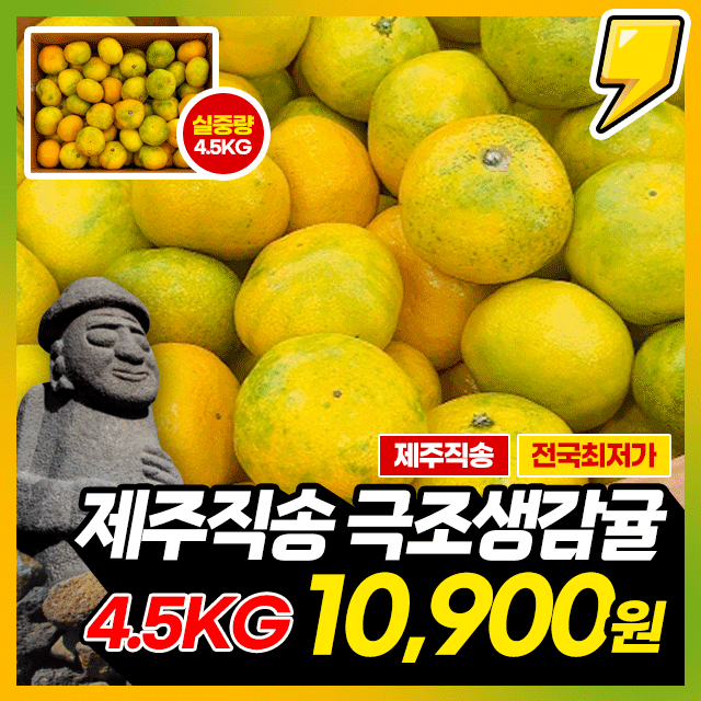 ★예약판매★ 25년 첫출하! 새콤달콤 제주 극조생 감귤 4.5KG 한박스