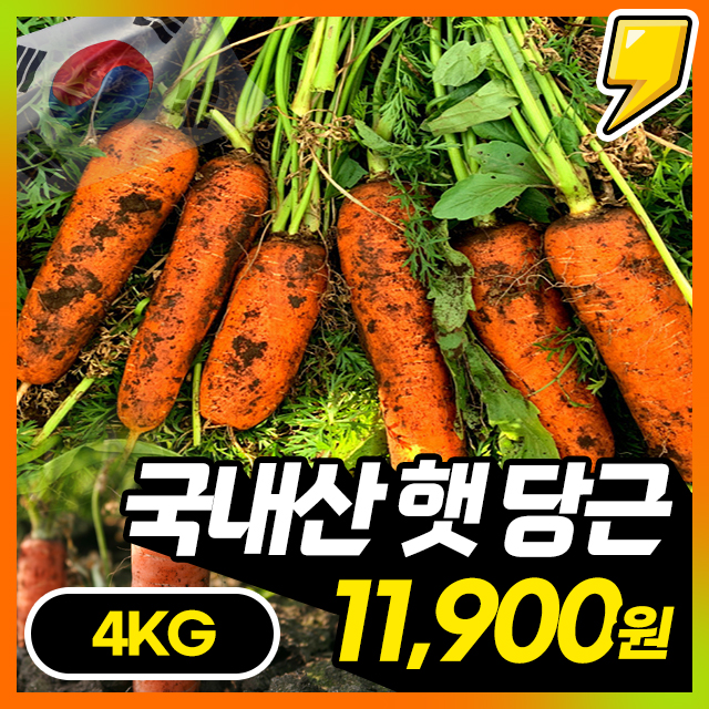 품질보장! 아삭달큰 맛있는 국내산 햇 당근 4KG/5KG
