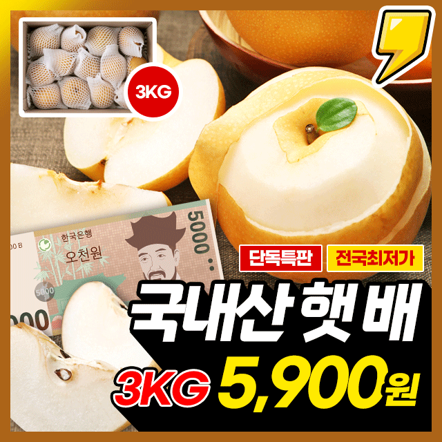 ★노마진★ 25년 제철! 시원달콤 과즙가득 고당도 꿀배 3KG 초특가