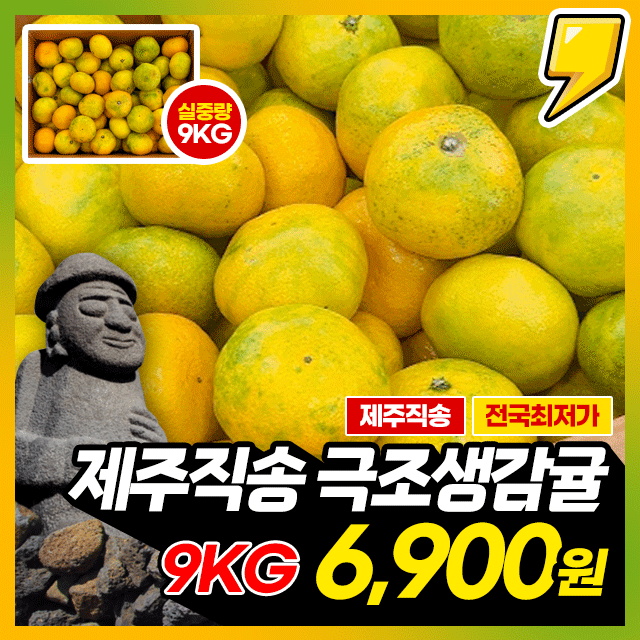 ★전국최저가★ 새콤달콤 제주 극조생 감귤 9KG 한박스 (실중량)