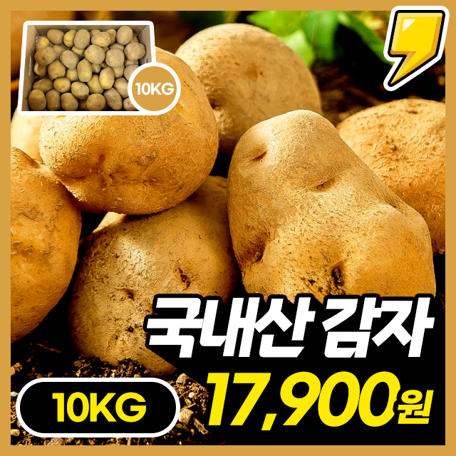 [100% 국내산] 포슬포슬 맛있는 국내산 감자 10KG