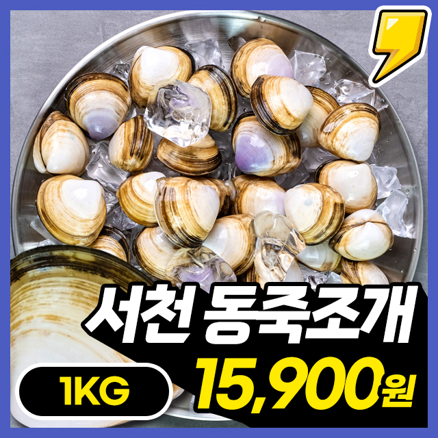 [동죽조개] 시원담백함 일품! 해감세척 완료 신선한 서천 동죽조개 1kg~